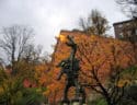 Dragon's sculpture
