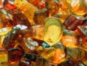 Prehistoric inclusions, such as insects and plants are often found in Baltic Sea amber