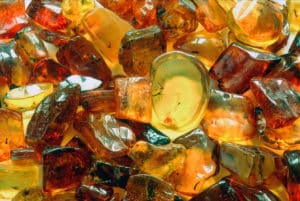 Prehistoric inclusions, such as insects and plants are often found in Baltic Sea amber