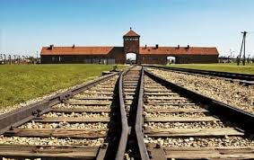 When you travel to Krakow, plan a day to visit Auschwitz-Birkenau concentration camp