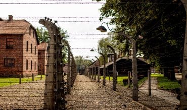 Auschwitz Tour: An informative history lesson near Krakow