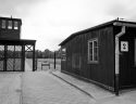 entry gate in concentration camp stutthof 1024x678