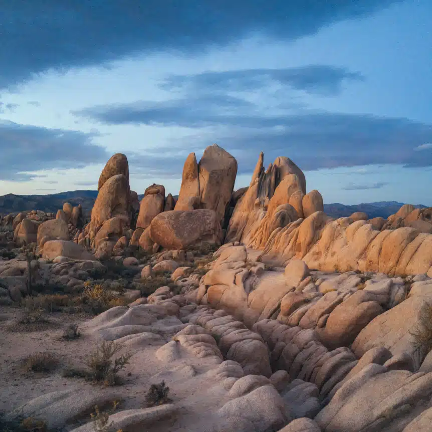 One of the most beautiful places in the US - the Joshua Tree National Park.